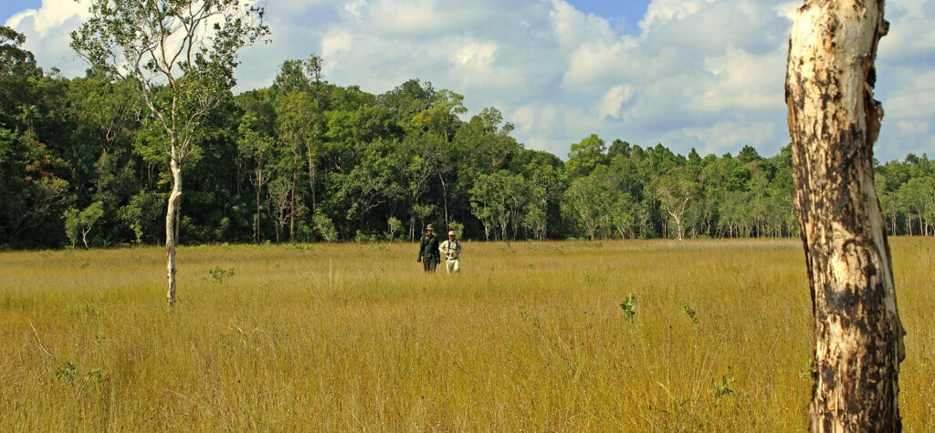 How to get a Tourist Visa for Cambodia (1)