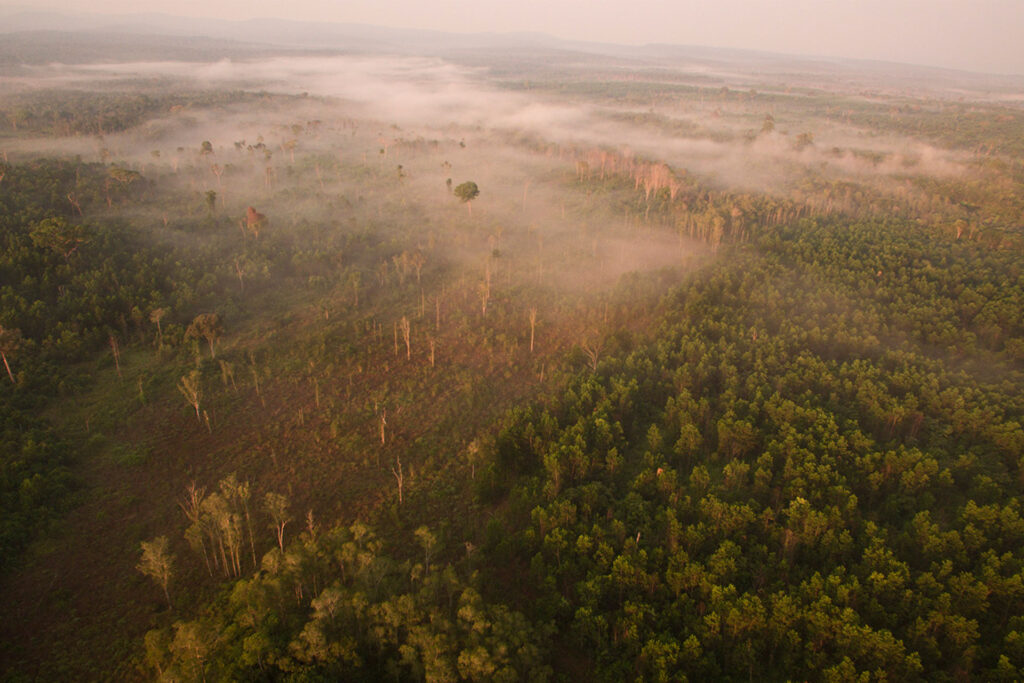 Health-and-Safety-at-Cardamom-Tented-Camp