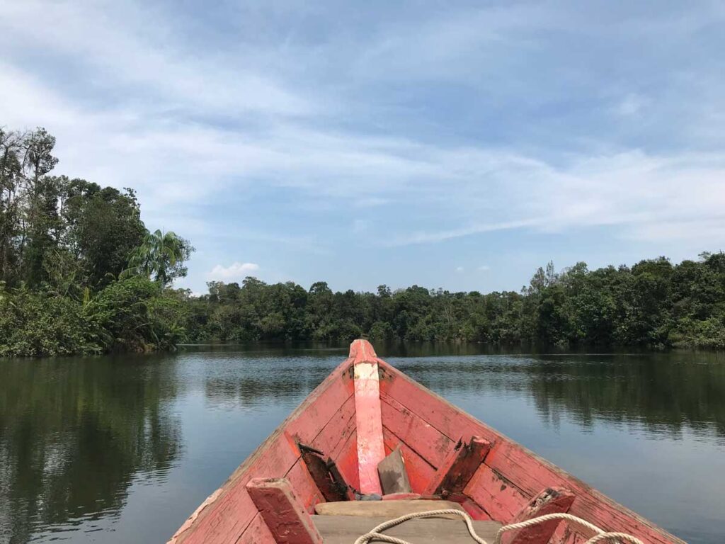 Explore and hike Cambodia's rainforest