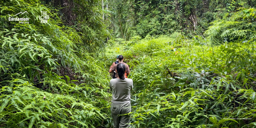Two runners walk through a dense jungle trail lined with green ferns and plants. (event branding visible in the top-left corner)