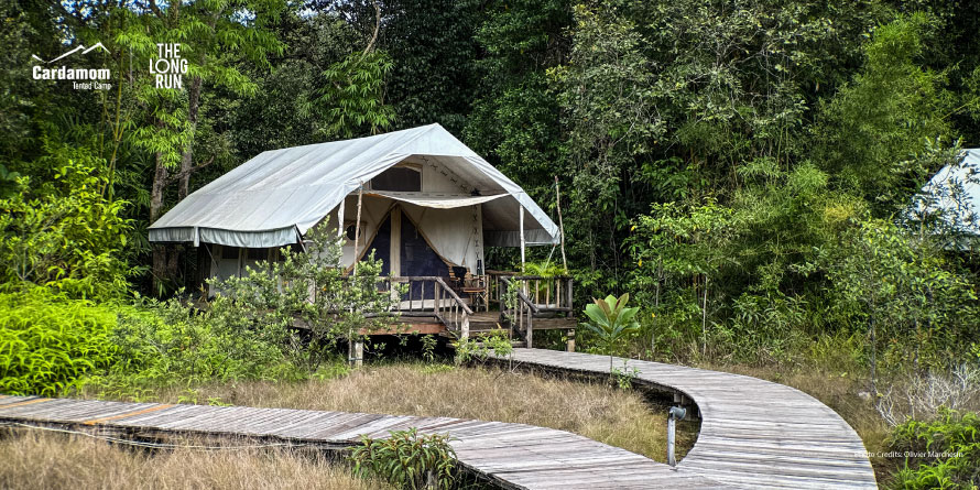 Raised canvas tent on a wooden deck in a tropical forest, with a curved boardwalk in front.