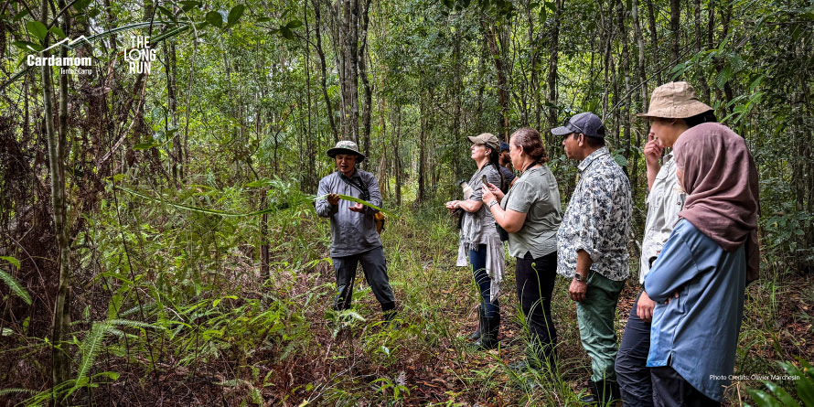Forest guide in a hat shows a map to six people standing in dense jungle.